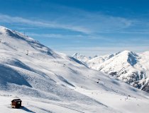 SLOWEAR CHRISTMAS 2025 GOLDEN CHAIR LIFT